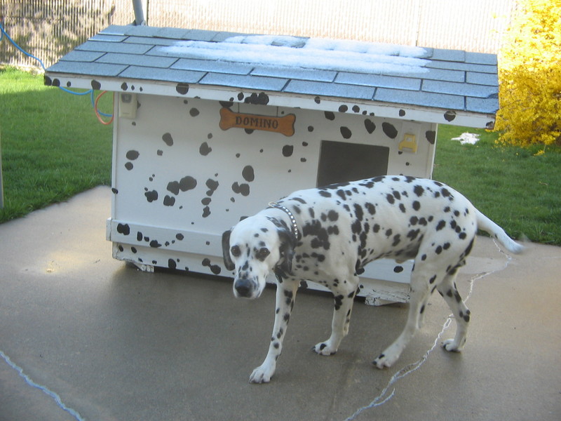 matching the doghouse; DISPLAY FULL IMAGE.