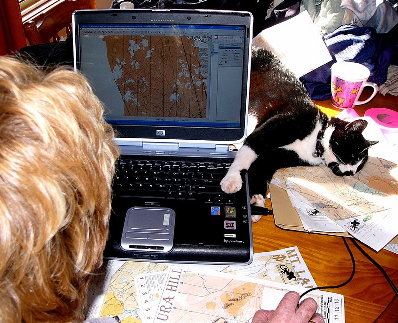 ping Sandra - cats and laptops; DISPLAY FULL IMAGE.