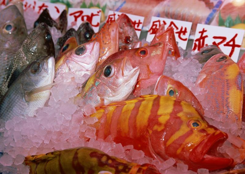 Okinawa - fishes; DISPLAY FULL IMAGE.