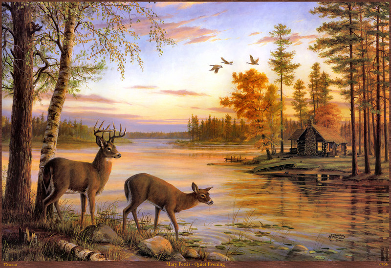 Wildlife art txscans; DISPLAY FULL IMAGE.