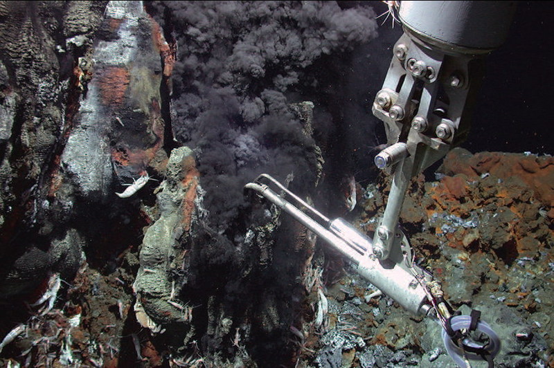 Extreme Life, Marine Style, Highlights 2006 Ocean Census [COML 2006-12-10]; DISPLAY FULL IMAGE.