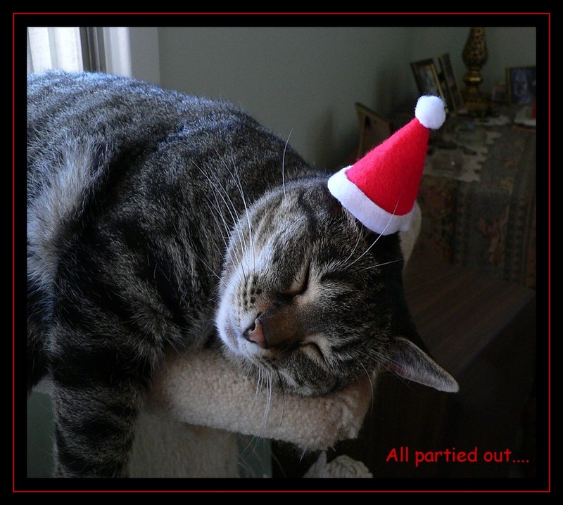 greetings 15; DISPLAY FULL IMAGE.