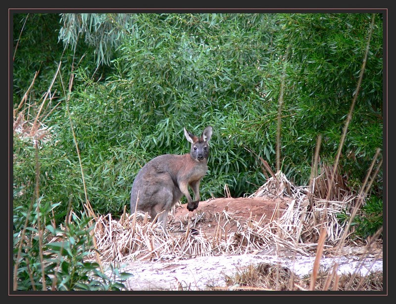 down by the riverside; DISPLAY FULL IMAGE.