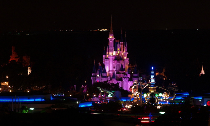 (Animals from Disney Trip) Night View; DISPLAY FULL IMAGE.