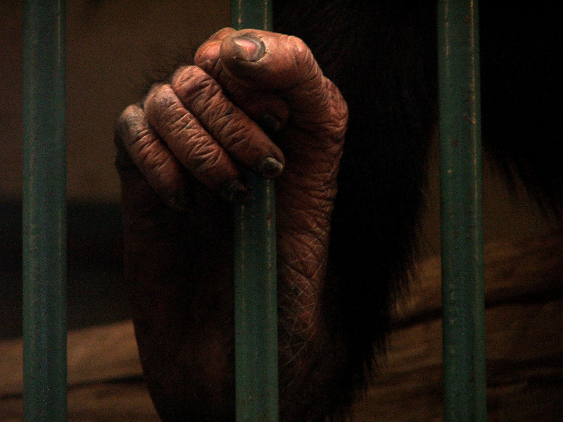 vladan doslic; DISPLAY FULL IMAGE.