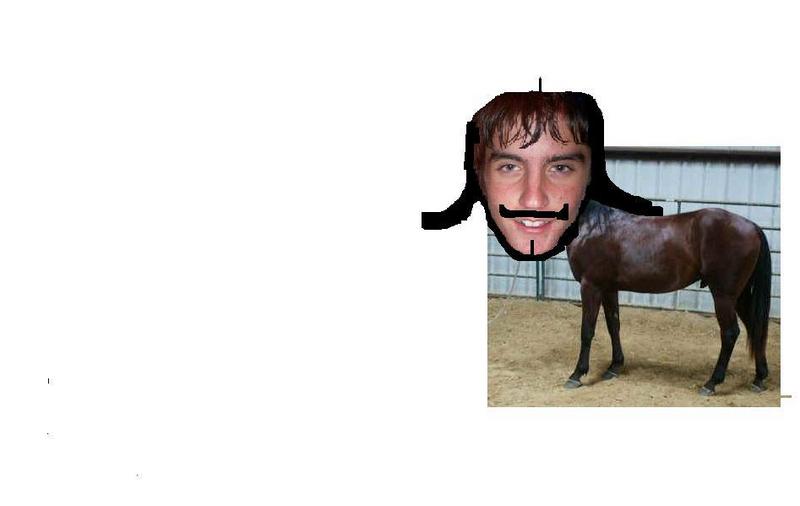 kendahorse; DISPLAY FULL IMAGE.