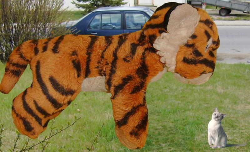 Tiger; DISPLAY FULL IMAGE.
