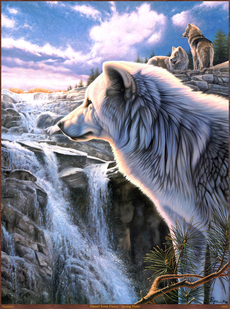 Panthera_0603_Daniel_Renn_Pierce_Spring_Thaw; DISPLAY FULL IMAGE.