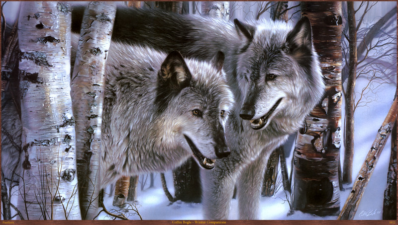 Panthera_0612_Collin_ Bogle_Winter_Companions; DISPLAY FULL IMAGE.