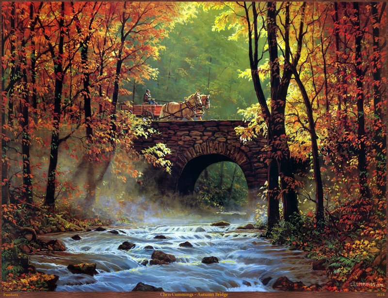 Panthera_0618_Chris_Cummings_Autumn_Bridge; DISPLAY FULL IMAGE.