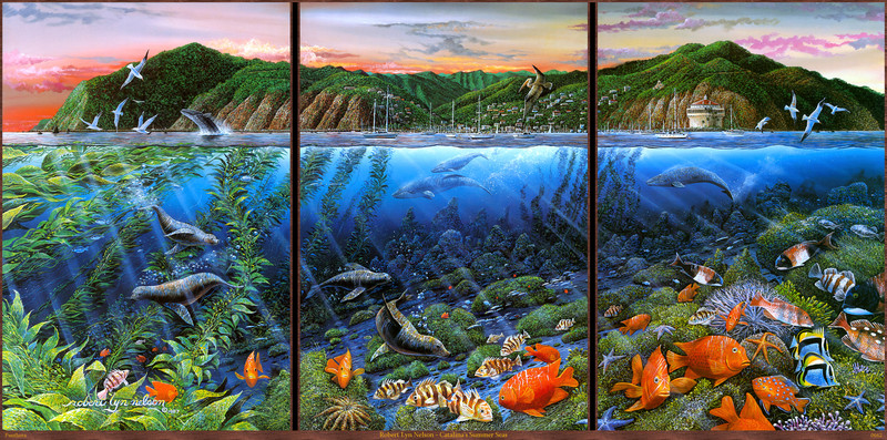 Panthera_0662_Robert_Lyn_Nelson_Catalinas_Summer_Seas; DISPLAY FULL IMAGE.