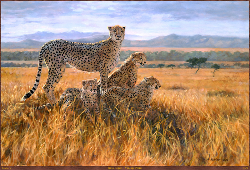 Panthera_0672_Julia_Rogers_Vantage_Point; DISPLAY FULL IMAGE.