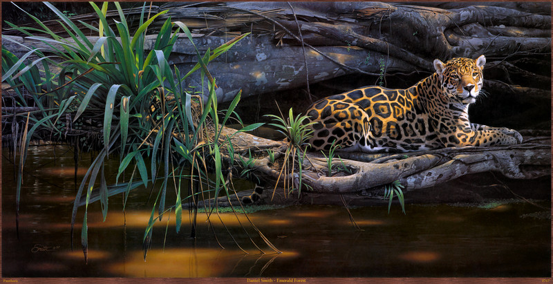 Panthera_0767_Daniel_Smith_Emerald_Forest; DISPLAY FULL IMAGE.