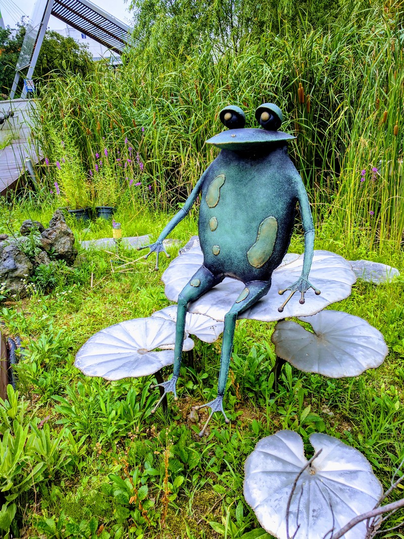 Iron Frog; DISPLAY FULL IMAGE.