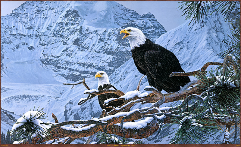 Panthera_0873_Ron_S._Parker_Eagles_in_the_Pine; DISPLAY FULL IMAGE.