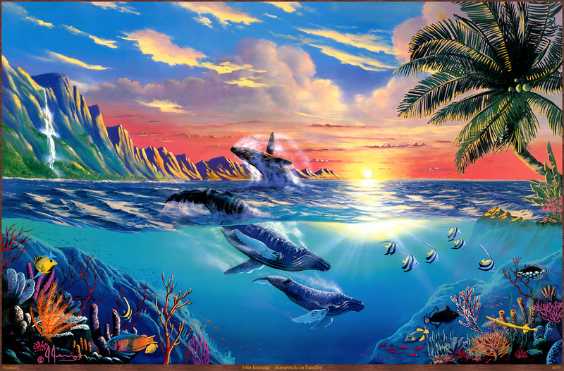 Panthera_0879_John_Jennings_Humpbacks_in_Paradise; DISPLAY FULL IMAGE.