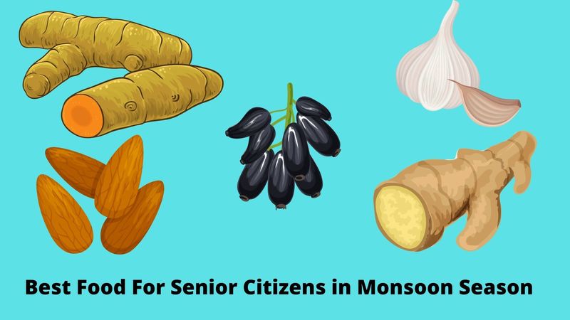 Top Foods for Senior Citizens During the Monsoon Season; DISPLAY FULL IMAGE.