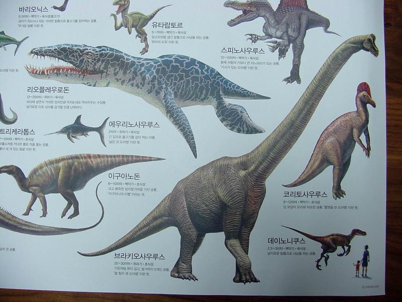 [공룡] 브라키오사우루스 (Brachiosaurus); DISPLAY FULL IMAGE.
