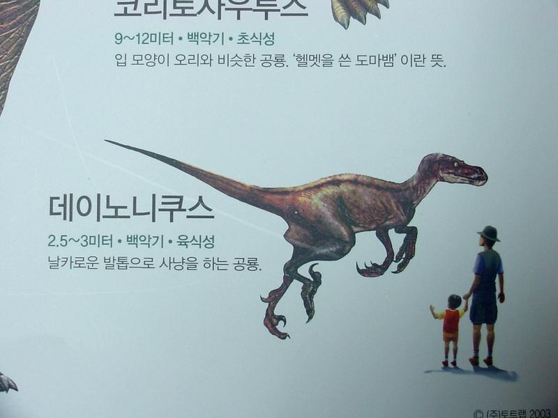 [공룡] 데이노니쿠스(Deinonychus); DISPLAY FULL IMAGE.