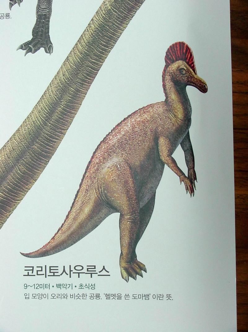 [공룡] 코리토사우루스(Corythosaurus); DISPLAY FULL IMAGE.