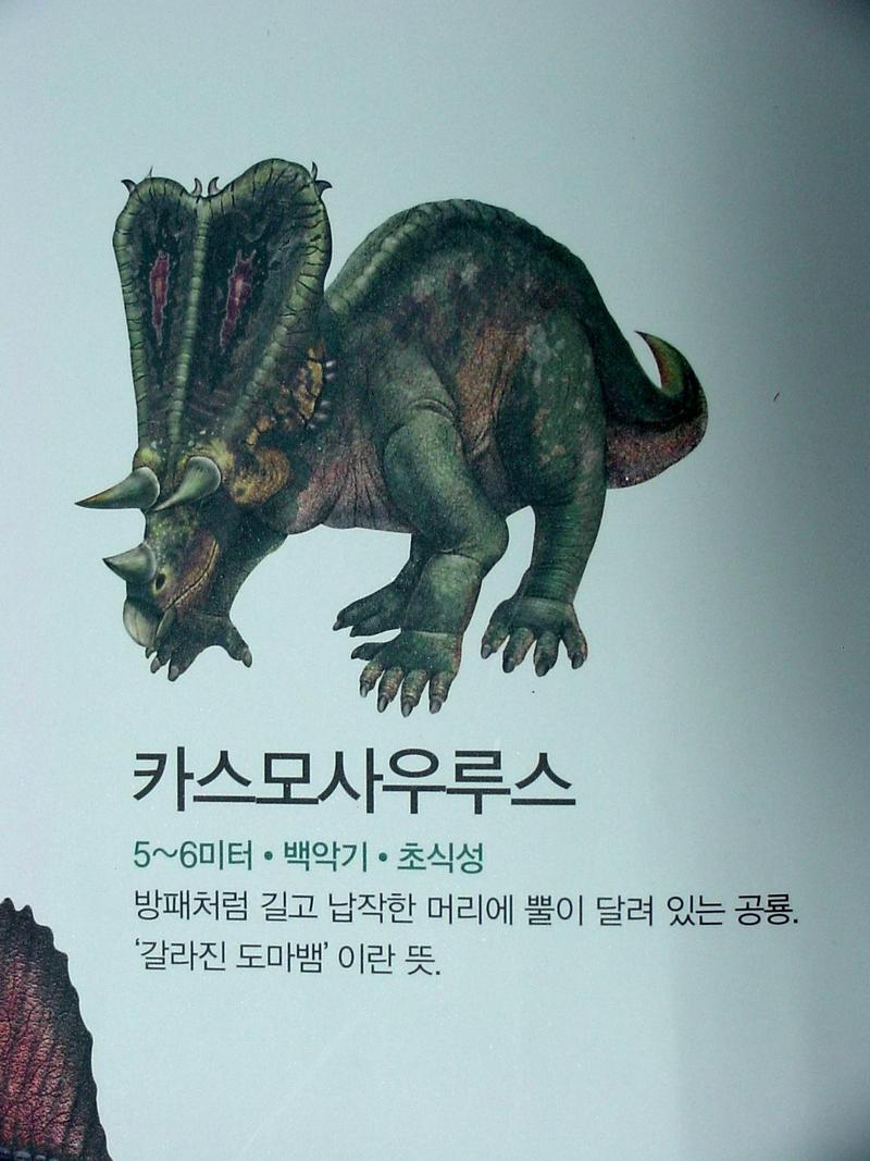 [공룡] 카스모사우루스(Chasmosaurus); DISPLAY FULL IMAGE.