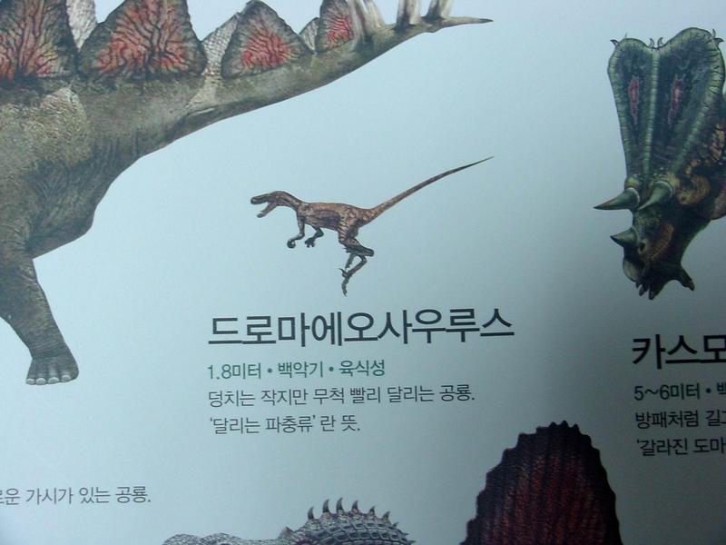 [공룡] 드로마에오사우루스(Dromaeosaurus); DISPLAY FULL IMAGE.