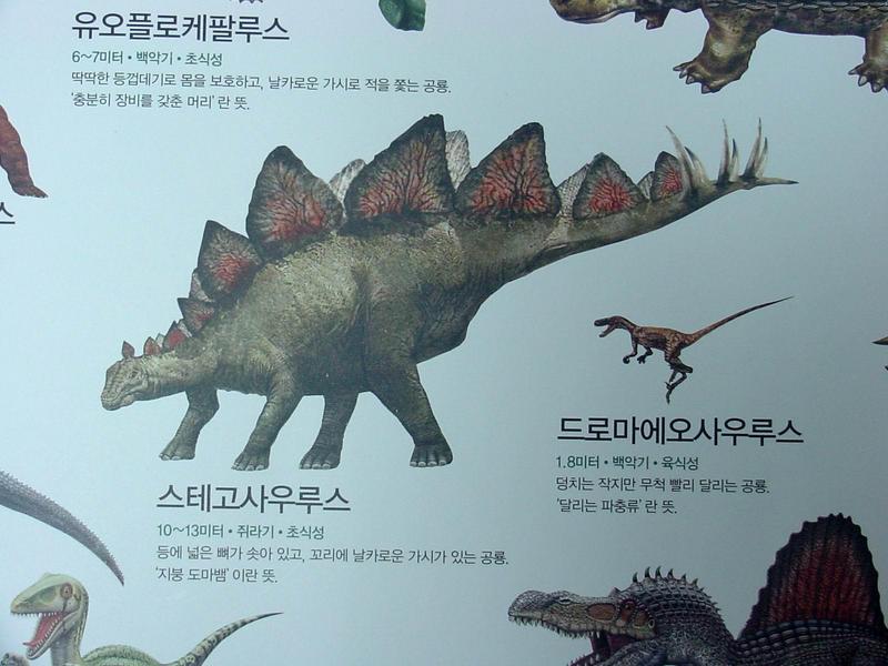 [공룡] 스테고사우루스(Stegosaurus); DISPLAY FULL IMAGE.