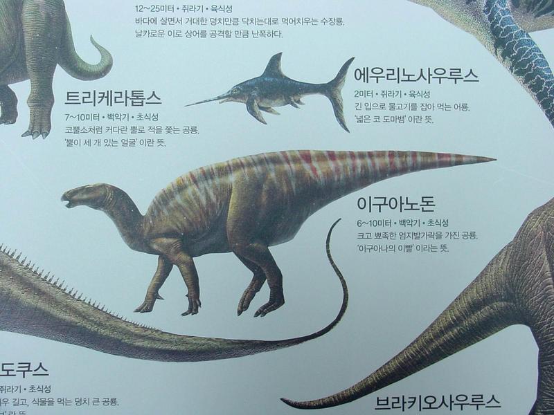 [공룡] 이구아노돈(Iguanodon); DISPLAY FULL IMAGE.