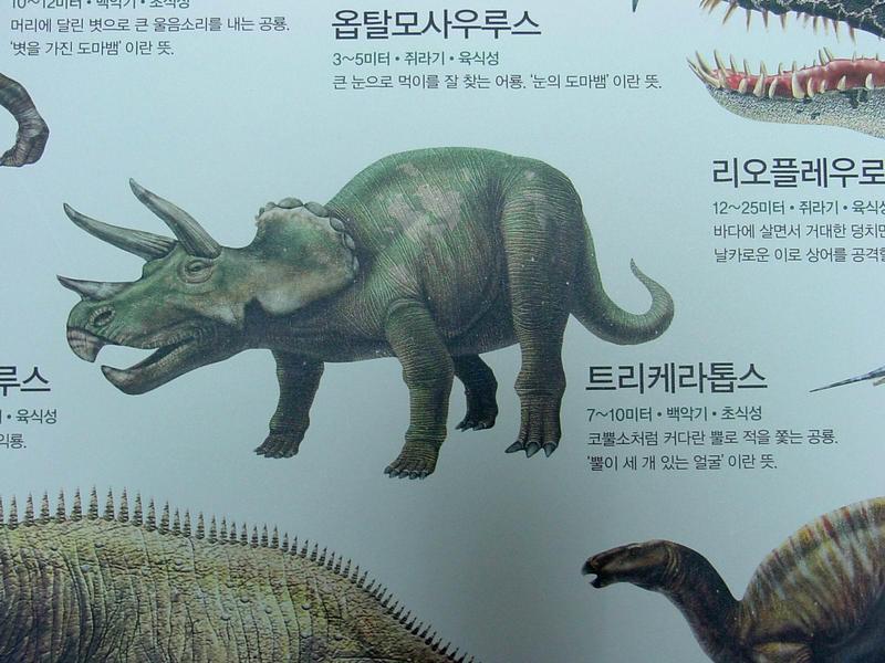 [공룡] 트리케라톱스(Triceratops); DISPLAY FULL IMAGE.