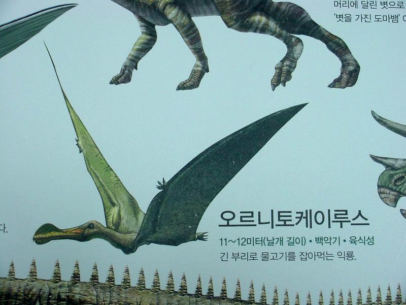 [공룡] 오르니토케이루스(Ornithocheirus); DISPLAY FULL IMAGE.