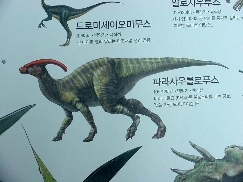 [공룡] 파라사우롤로푸스(Parasaurolophus); DISPLAY FULL IMAGE.