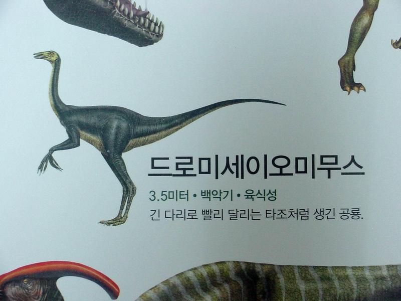 [공룡] 드로미세이오미무스(Dromiceiomimus); DISPLAY FULL IMAGE.