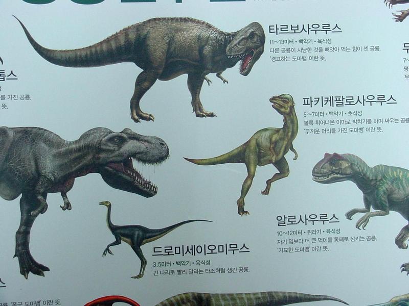 [공룡] 타르보사우루스(Tarbosaurus); DISPLAY FULL IMAGE.