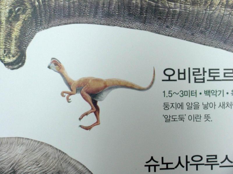 [공룡] 오비랍토르(Oviraptor); DISPLAY FULL IMAGE.