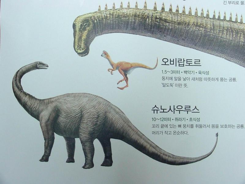 [공룡] 슈노사우루스(Shunosaurus); DISPLAY FULL IMAGE.