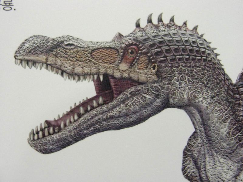 스피노사우루스(Spinosaurus) 머리; DISPLAY FULL IMAGE.