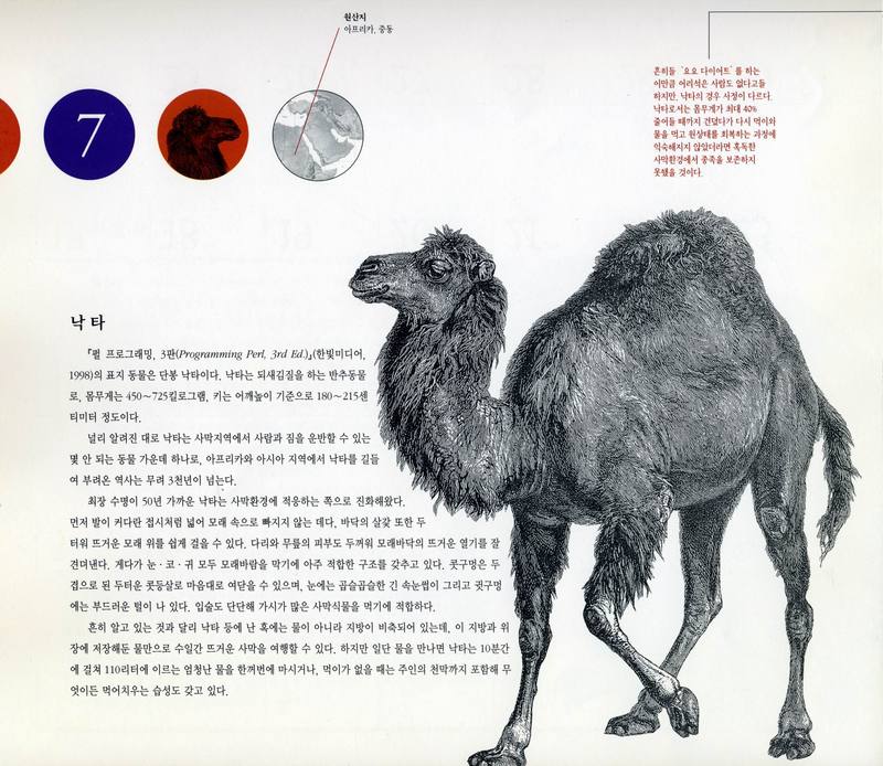 O'REILLY Calendar 2001-07 낙타; DISPLAY FULL IMAGE.