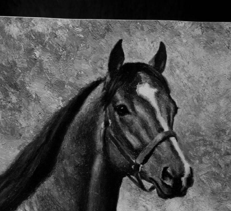 [Animal Art] Domestic Horse (Equus caballus) {!--말-->; DISPLAY FULL IMAGE.