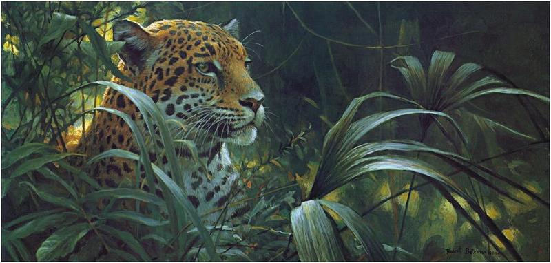 [Animal Art by Robert Bateman] Jaguar (Panthera onca) {!--재규어-->; DISPLAY FULL IMAGE.