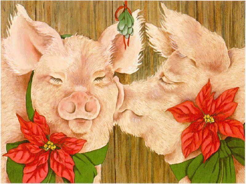 [Animal Art] Feral Pigs(Sus scrofa var. domesticus) {!--집돼지-->; DISPLAY FULL IMAGE.
