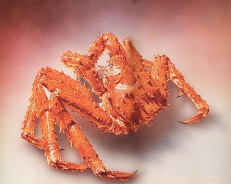 Crab  {!--게-->; DISPLAY FULL IMAGE.