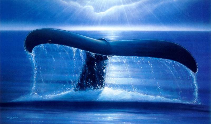 [Animal Art - Robert Wyland] Whale {!--고래--> fluke; DISPLAY FULL IMAGE.