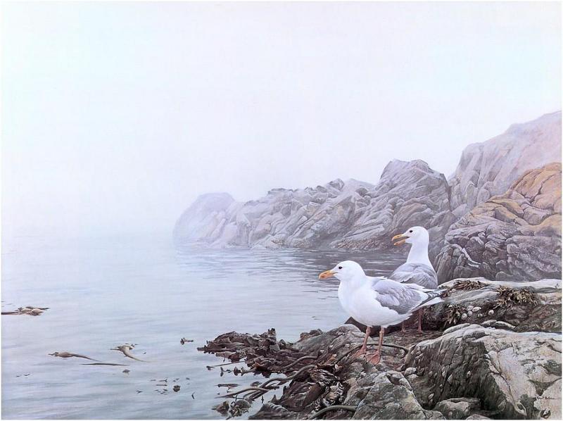 [Animal Art - Robert Bateman] Herring Gulls {!--재갈매기-->; DISPLAY FULL IMAGE.