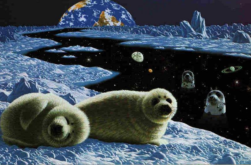 [Animal Art - Shimmel] Seals; DISPLAY FULL IMAGE.