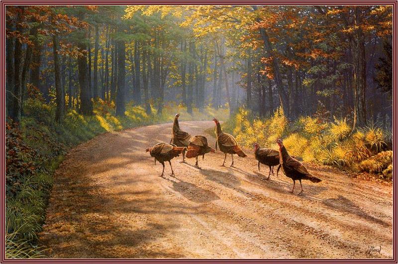 [Animal Art - Al Agnew] Wild Turkeys on 'The Road Less Traveled' {!--야생칠면조-->; DISPLAY FULL IMAGE.