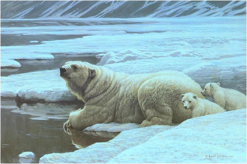 [Animal Art - Robert Bateman] Polar Bear mother and cubs (Ursus maritimus) {!--북극곰-->; DISPLAY FULL IMAGE.