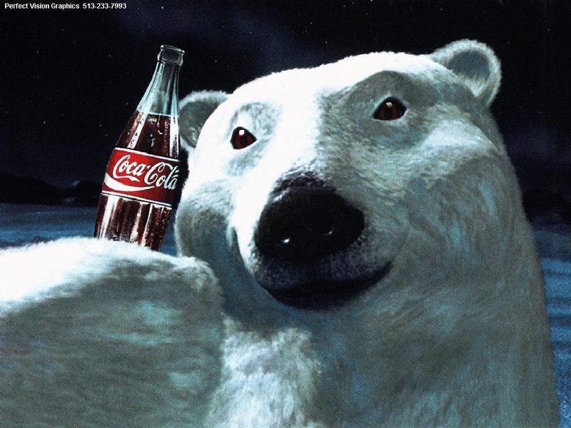 [Coke Ad] Polar Bear (Ursus maritimus) {!--북극곰-->; DISPLAY FULL IMAGE.