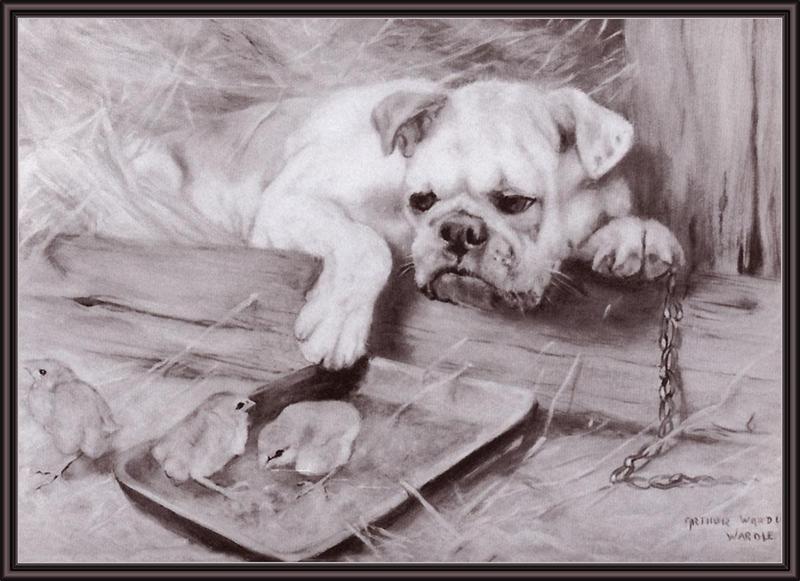 [Animal Art] Dog - Bulldog (Canis lupus familiaris) {!--개, 불독-->; DISPLAY FULL IMAGE.