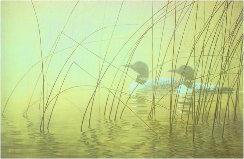 [Animal Art - Robert Bateman] Common Loon pair (Gavia immer) {!--큰아비-->; DISPLAY FULL IMAGE.