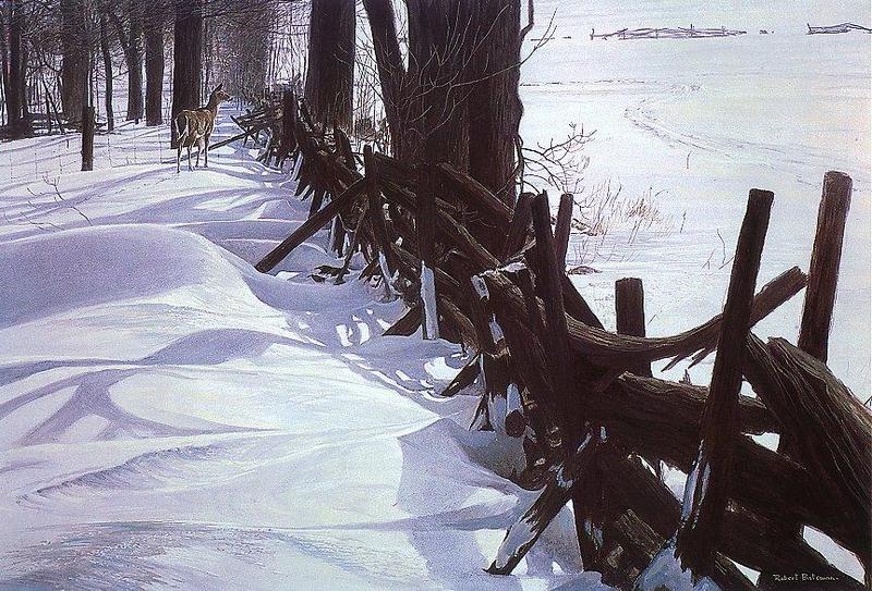 [Animal Art - Robert Bateman] White-tailed Deer (Odocoileus virginianus) {!--흰꼬리사슴-->; DISPLAY FULL IMAGE.